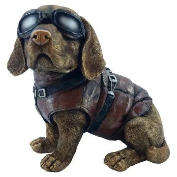 Chien