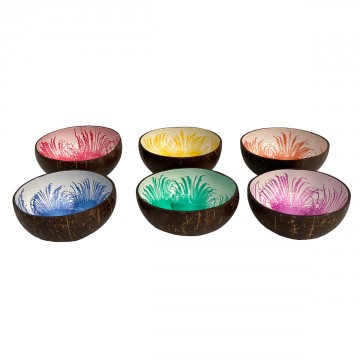 [SG 31626] Bol en noix de coco polie intérieur en résine fond blanc tache de couleur                                     6 couleurs différentes